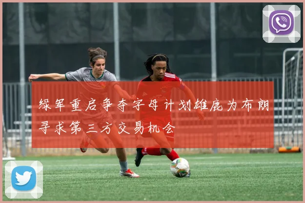 绿军重启争夺字母计划雄鹿为布朗寻求第三方交易机会