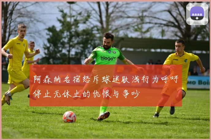 阿森纳名宿怒斥球迷肤浅行为呼吁停止无休止的仇恨与争吵